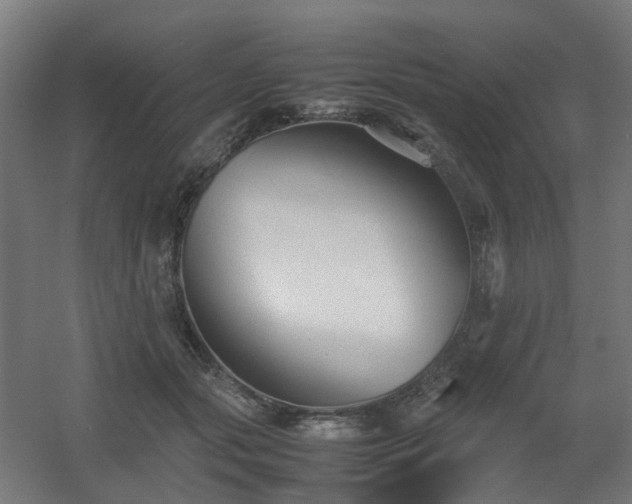 X0000060550557200511031220