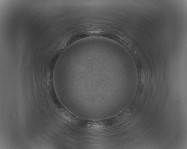 X0000060550559200511031220