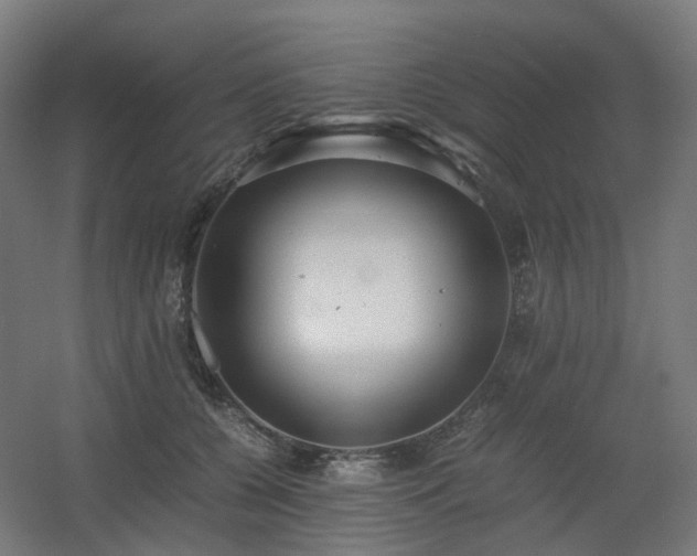 X0000060550560200511031220