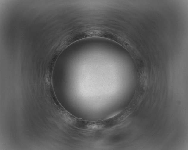 X0000060550561200511031220