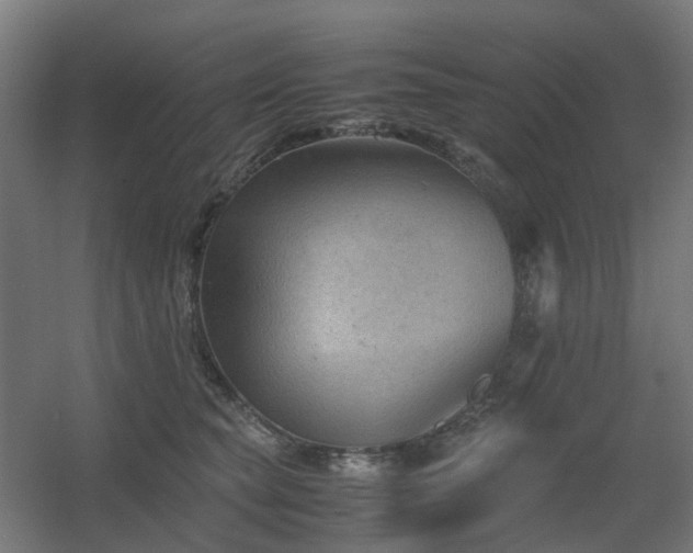 X0000060550565200511031220