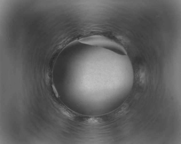 X0000060550566200511031220