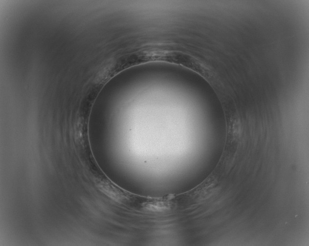 X0000060550567200511031220