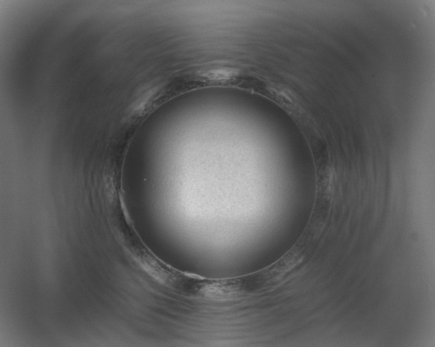X0000060550568200511031220
