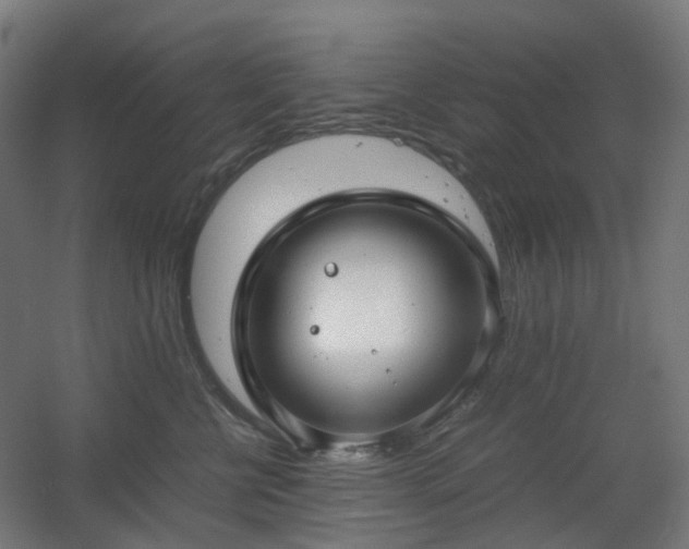 X0000060550570200511031220