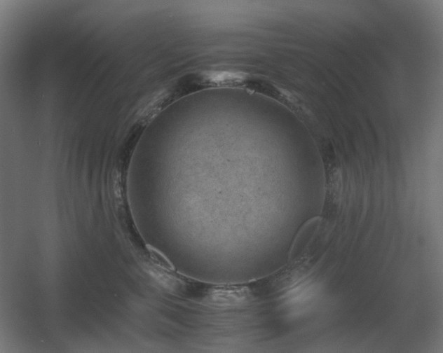 X0000060550571200511031220