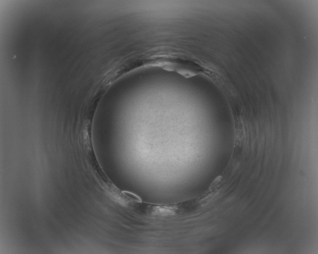 X0000060550573200511031220