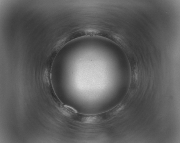 X0000060550575200511031220