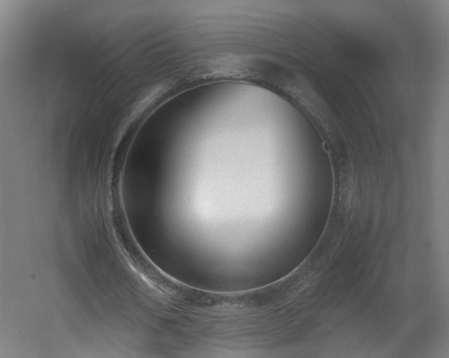 X0000060550578200511031219