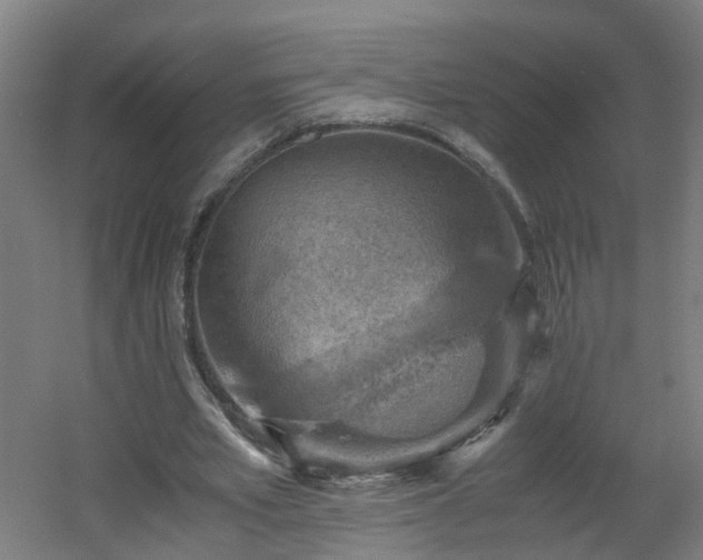 X0000060550581200511031219