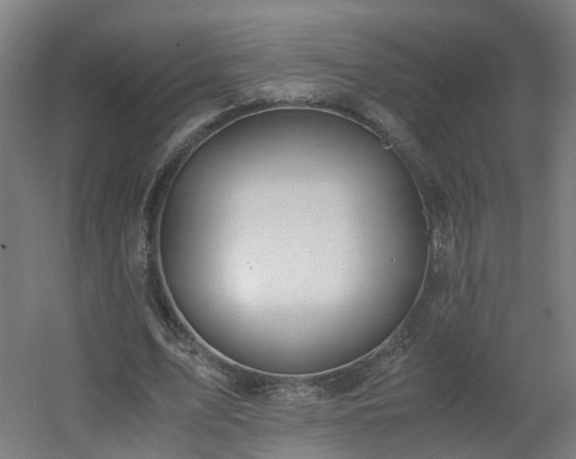 X0000060550583200511031219