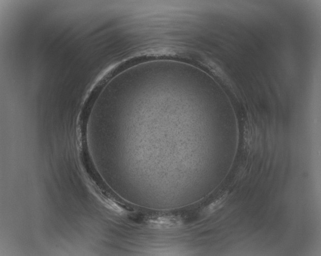 X0000060550584200511031219