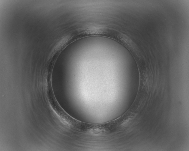 X0000060550586200511031219