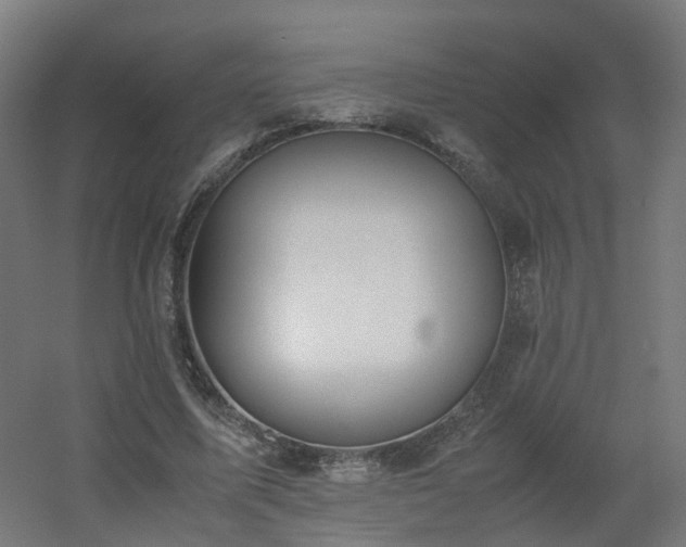 X0000060550587200511031219