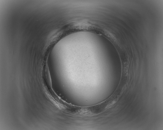 X0000060550589200511031219