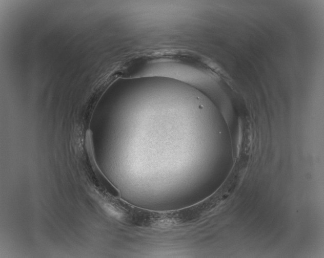 X0000060550593200511031219