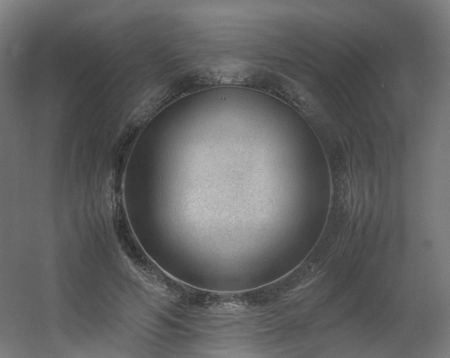 X0000060550594200511031219