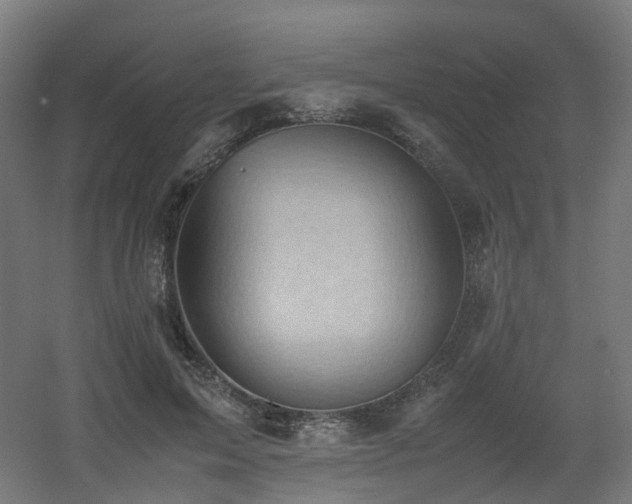 X0000060550599200511031219