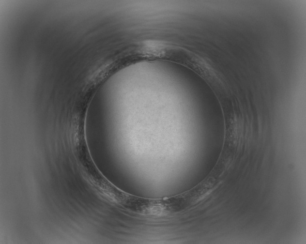 X0000060550600200511031219