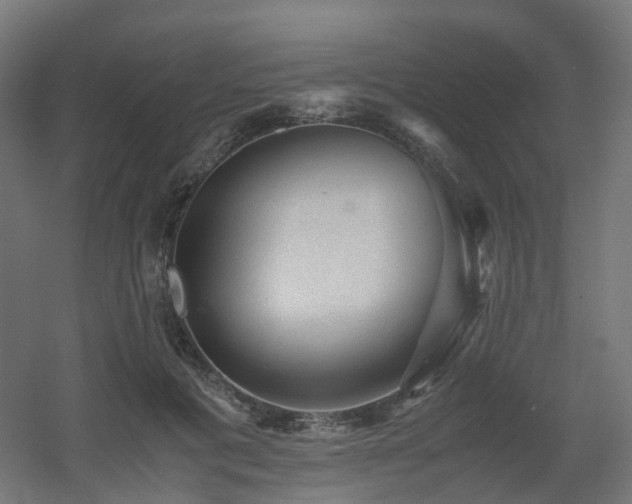 X0000060550601200511031219