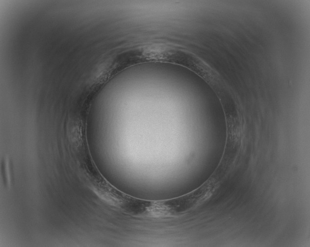 X0000060550603200511031219