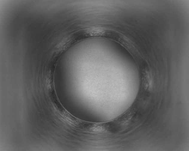 X0000060550604200511031219