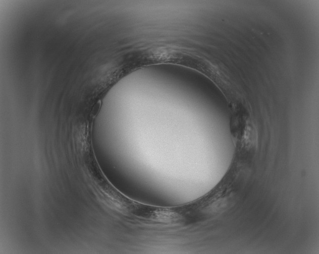 X0000060550605200511031219