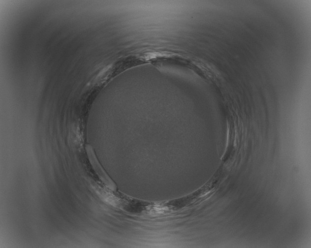 X0000060550607200511031219