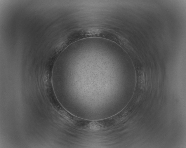 X0000060550608200511031218