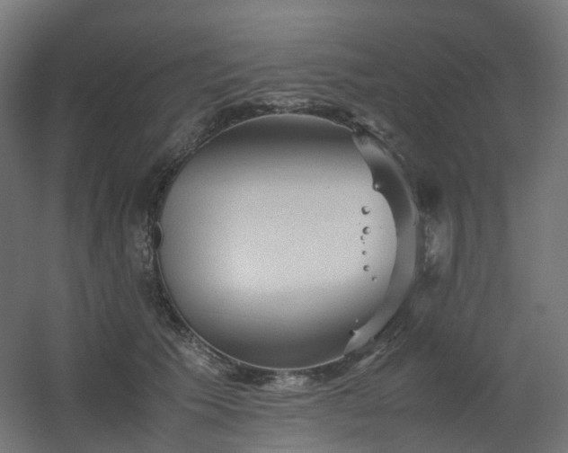 X0000060550609200511031218