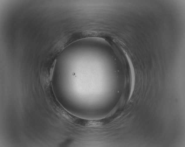 X0000060550617200511031218