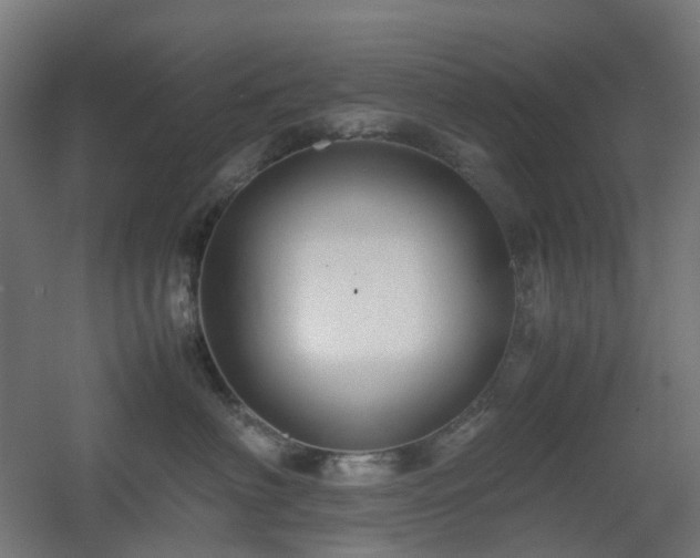 X0000060550622200511031218