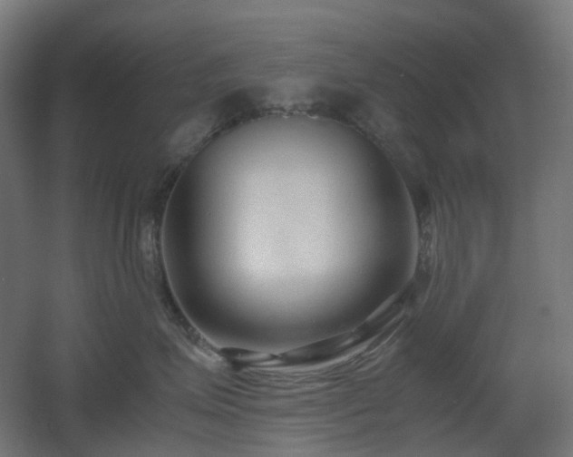 X0000060550623200511031218