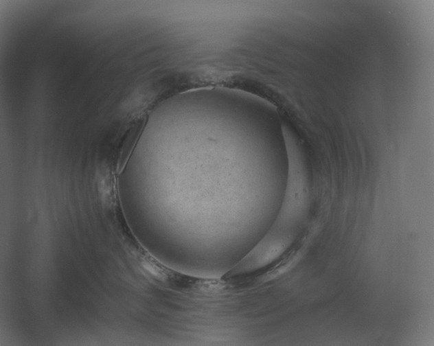 X0000060550624200511031218