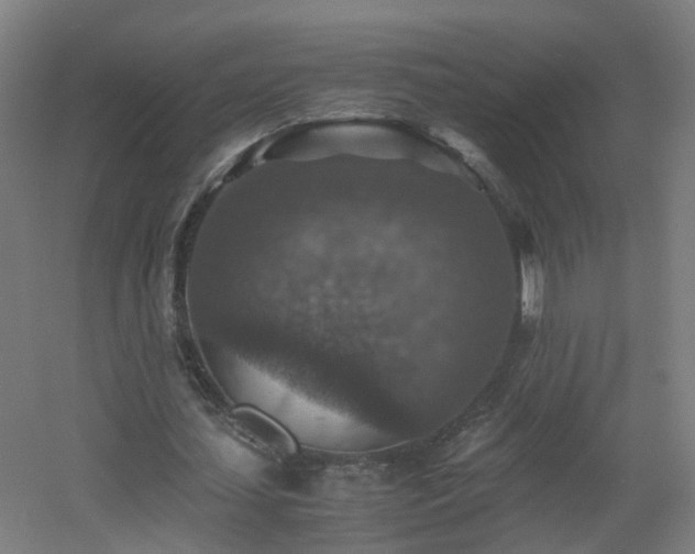 X0000060550627200511031217