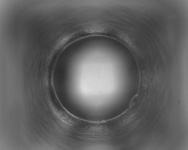 X0000060550631200511031217