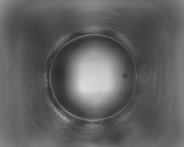 X0000060550633200511031218