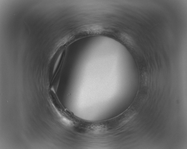 X0000060550638200511031218