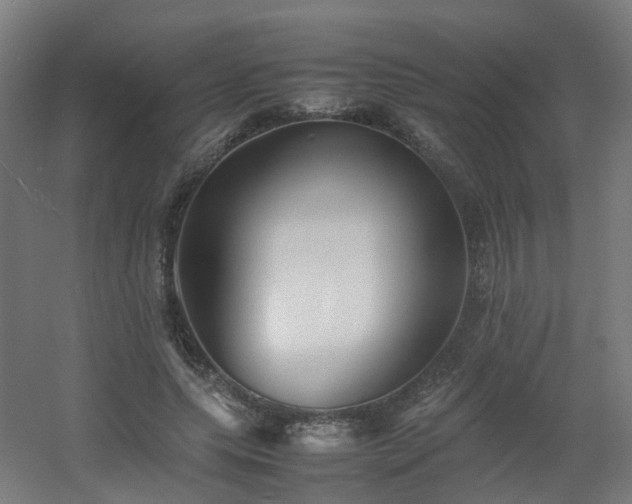 X0000060550639200511031218