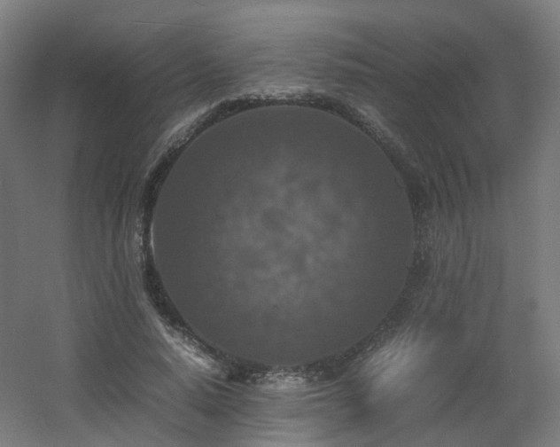 X0000060550640200511031218