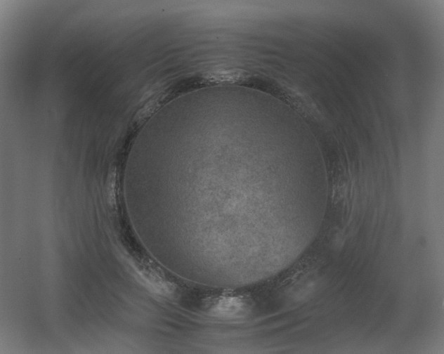 X0000060550647200511031218