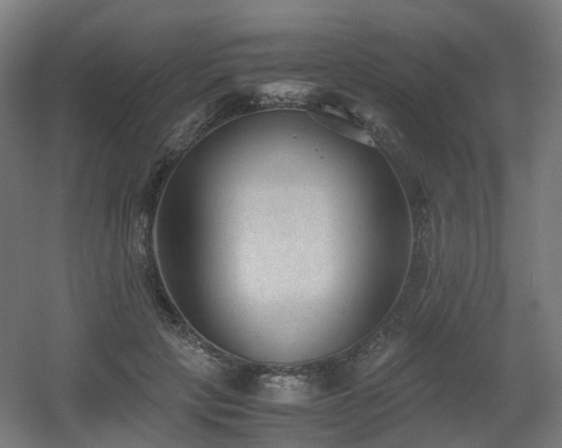 X0000060550649200511031218