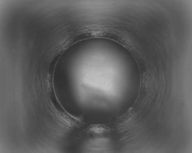 X0000060550650200511031218