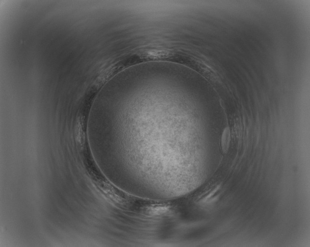 X0000060550651200511031218
