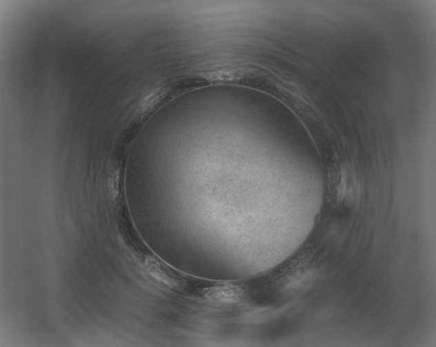 X0000060550652200511031218
