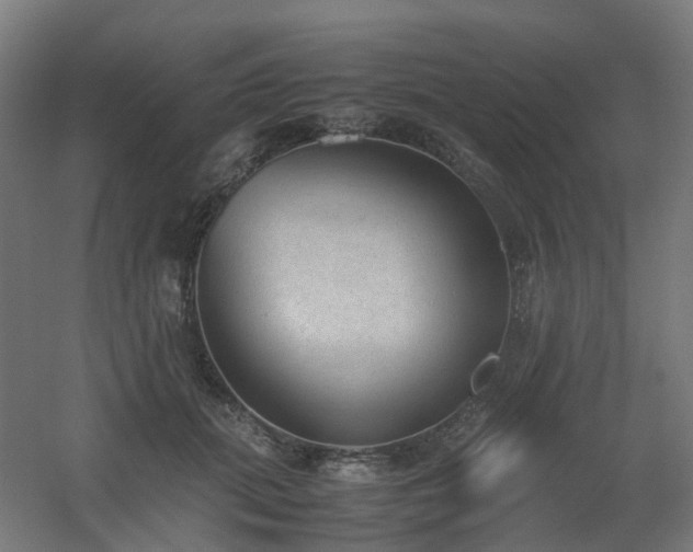 X0000060550655200511031218