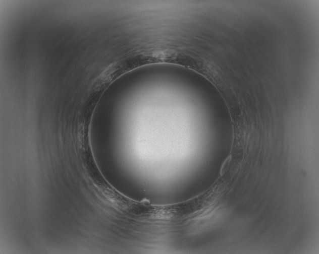 X0000060550656200511031218