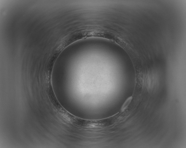 X0000060550657200511031218