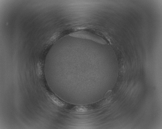 X0000060550658200511031218
