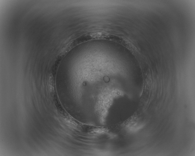 X0000060550659200511031218